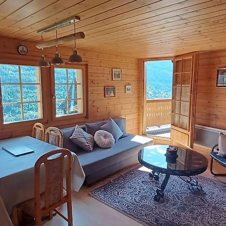 Chalet 3 Pieces De Caractere Mayoux Exterior photo