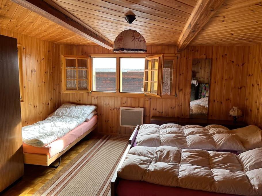 Chalet 3 Pieces De Caractere Mayoux Exterior photo